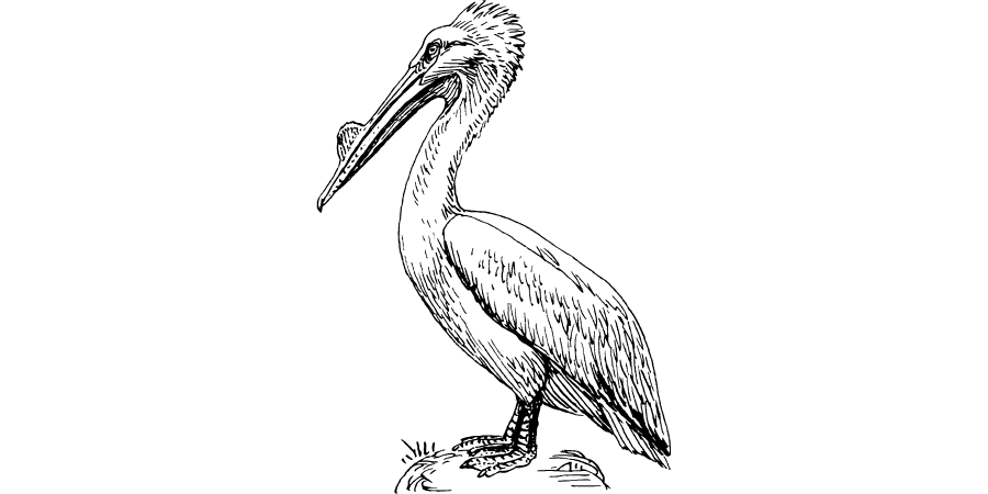 A simple black silhouette of a cat sitting.