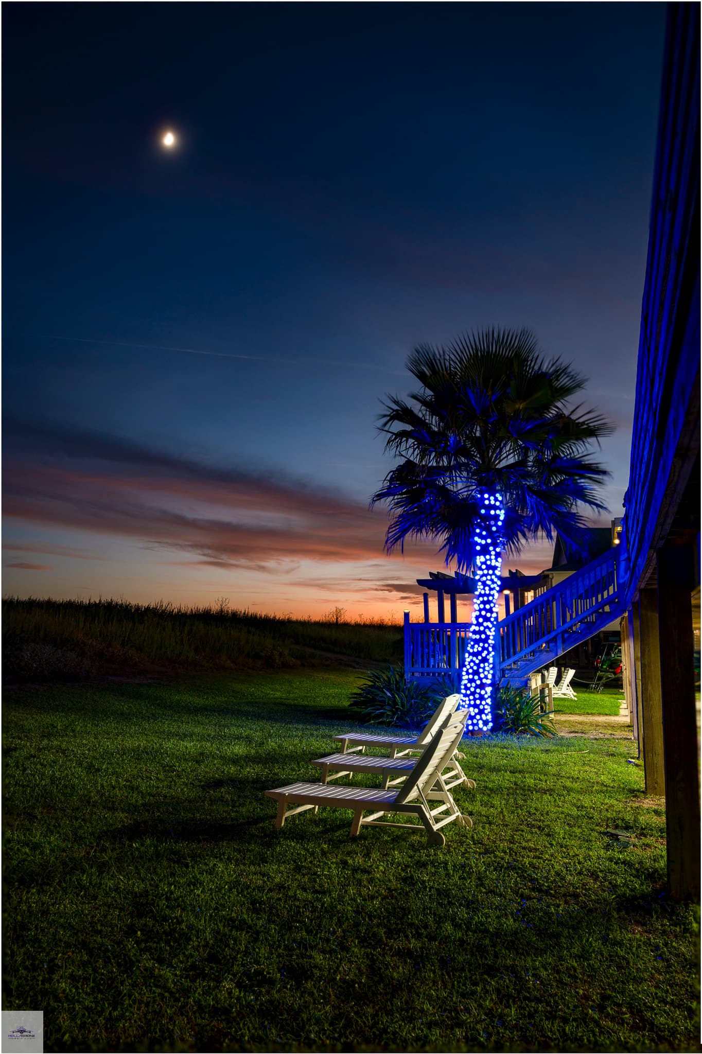 A serene outdoor space at dusk featuring a palm tree adorned with blue lights and lounge chairs.