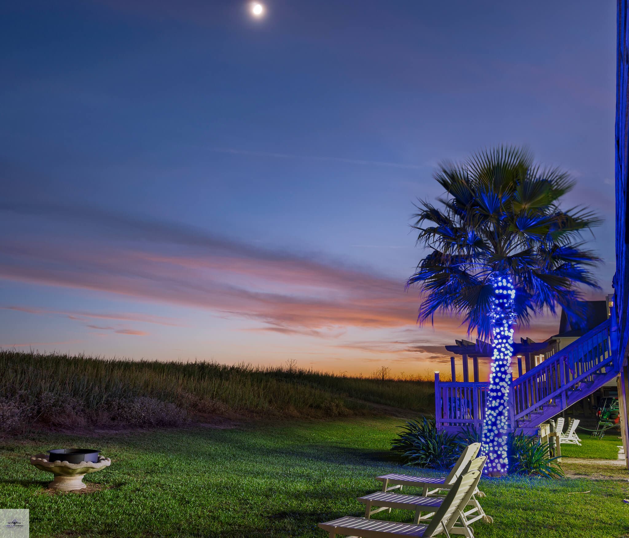 A palm tree wrapped in blue lights stands in a grassy yard under a twilight sky.