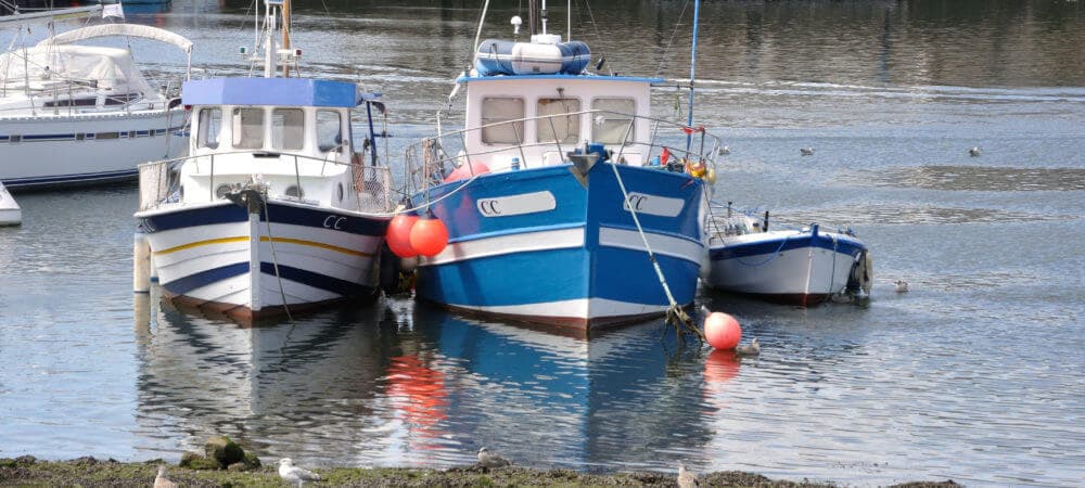 Three boats moored in calm water, with reflections visible on the surface.