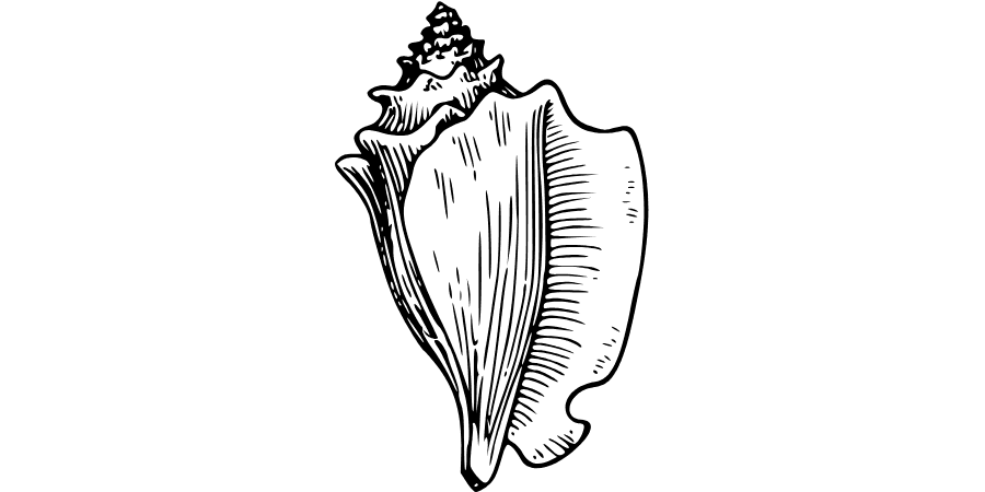 Abstract geometric design in black.