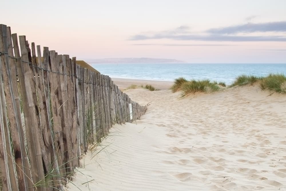 A sandy path leads through wooden fencing to a serene beach and gentle waves.