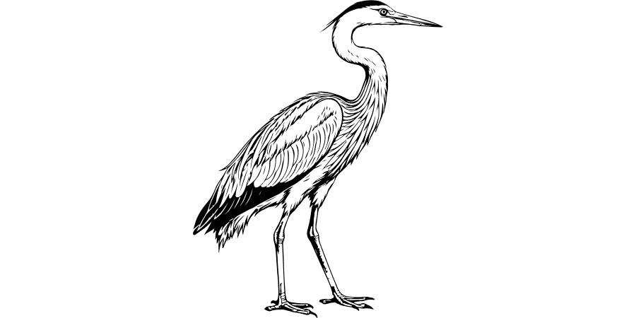 A minimalist black silhouette of a cat sitting.