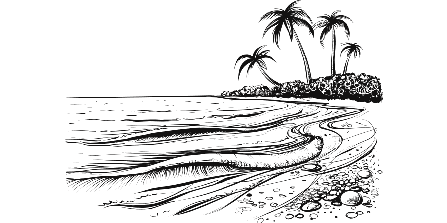 Silhouette of palm trees on an island by the water.