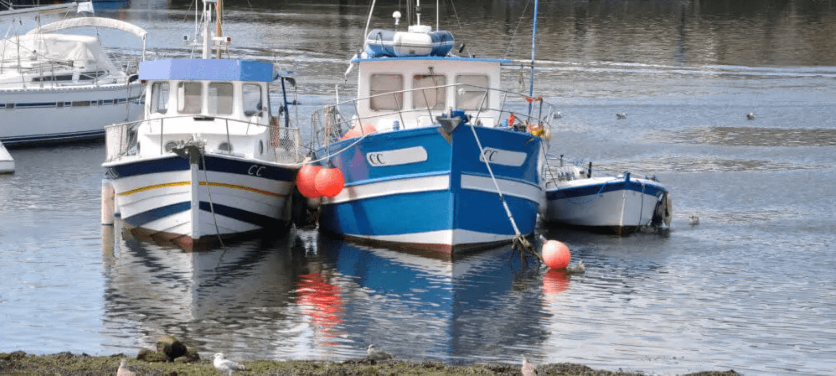 Three boats docked in calm water with red buoys.